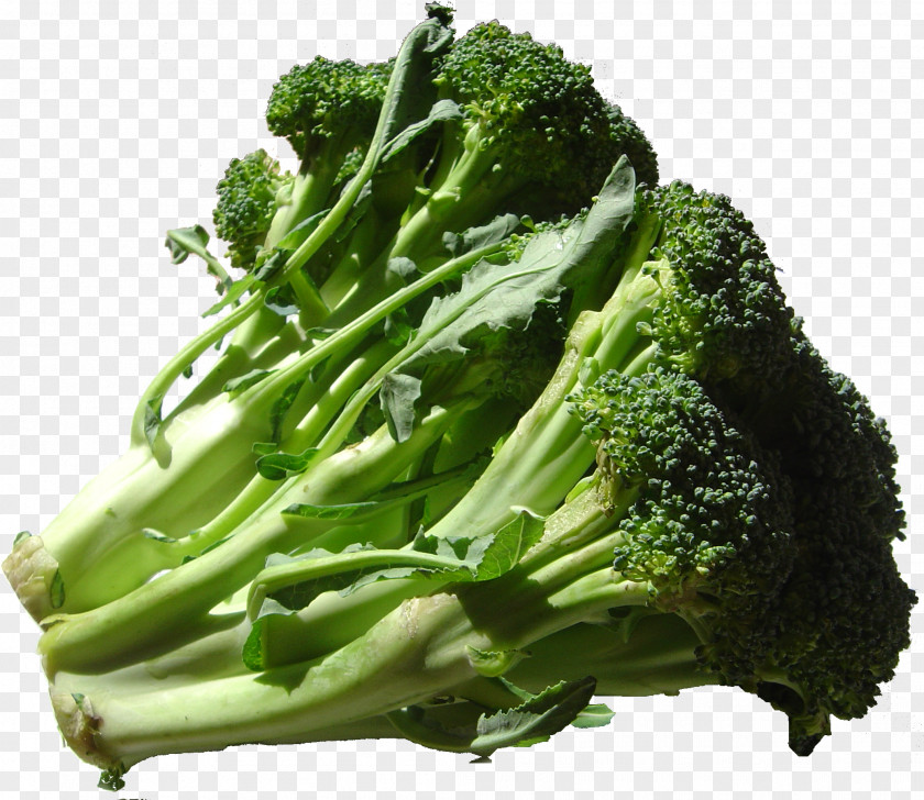Broccoli Organic Food Vegetable Emile Peloquin Fruits-Legumes PNG