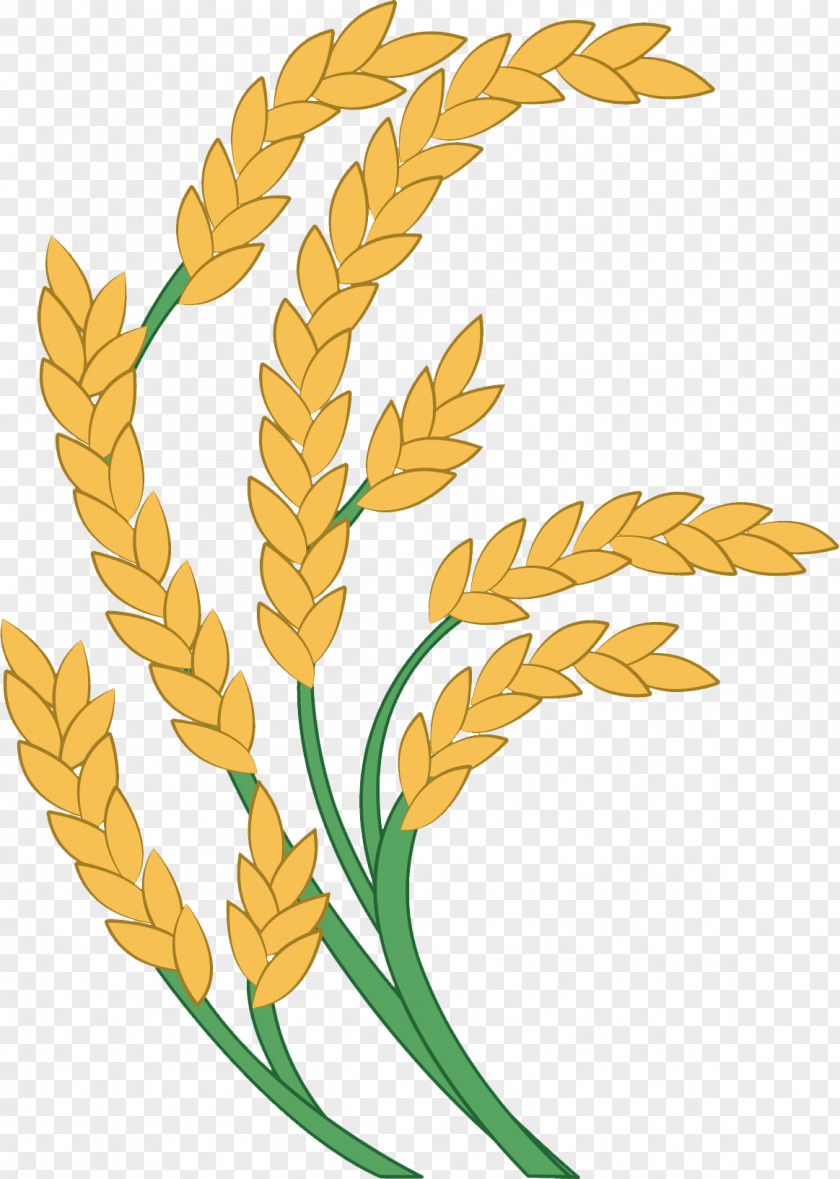 Golden Rice Paddy Field Icon PNG