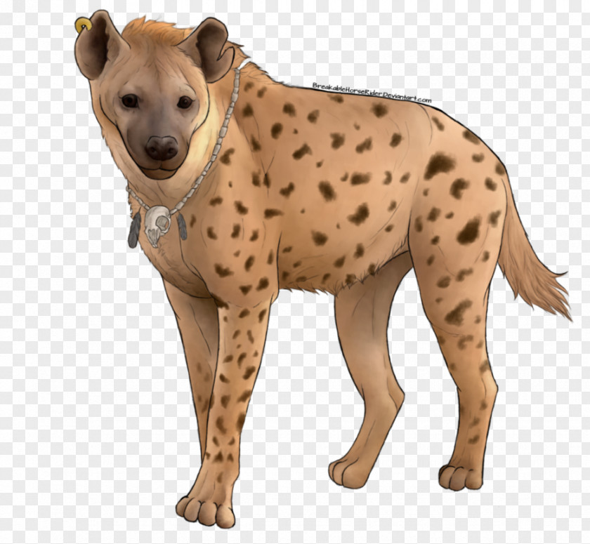 Hyena Spotted Cheetah PNG