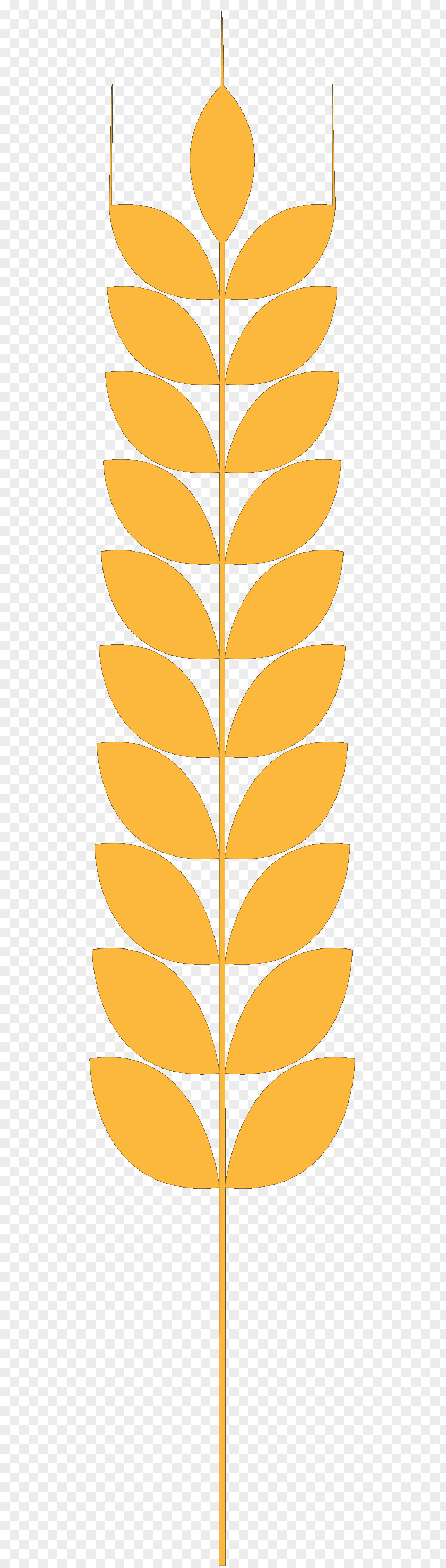 Leaf Line Angle Font Tree PNG