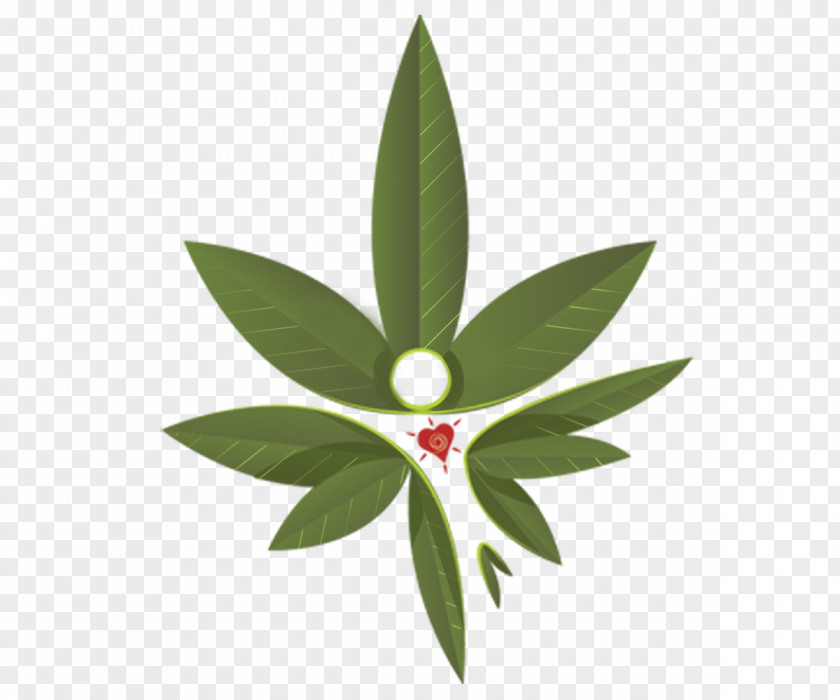 Business Card Style Leaf Hortus Europae Americanus Cannabis Botany Skunk PNG