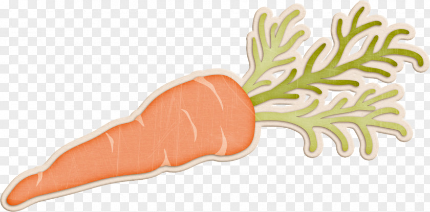 Carrot Clip Art PNG