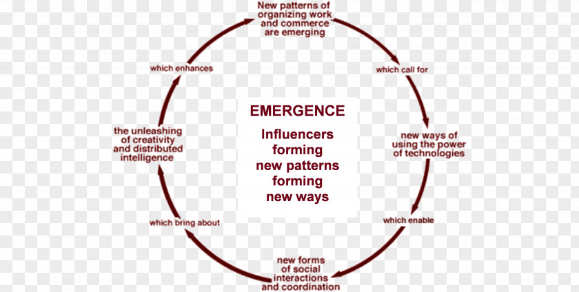 Emergence Organization Chaos Theory System Structure PNG