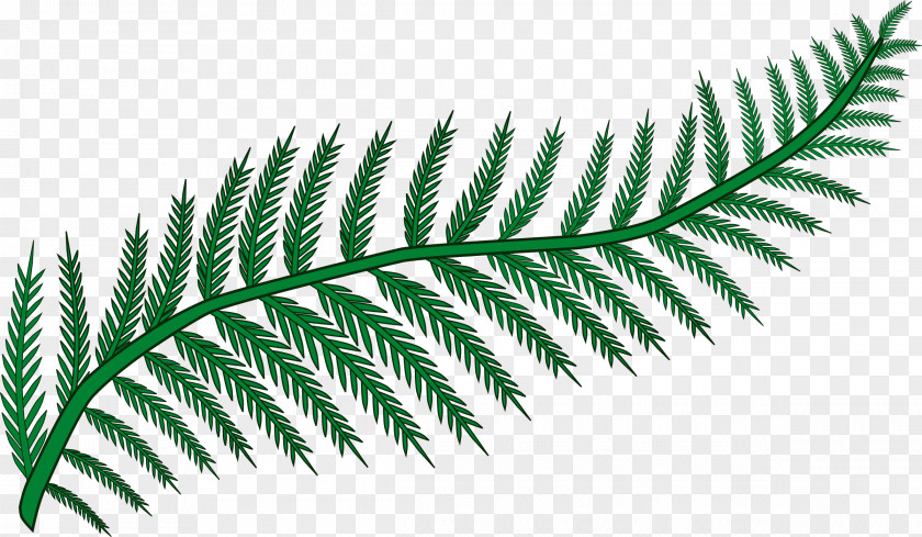 Fern Frond Leaf Clip Art PNG