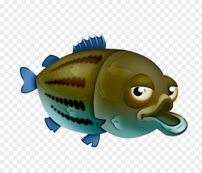 Fish Cartoon Biology Science PNG