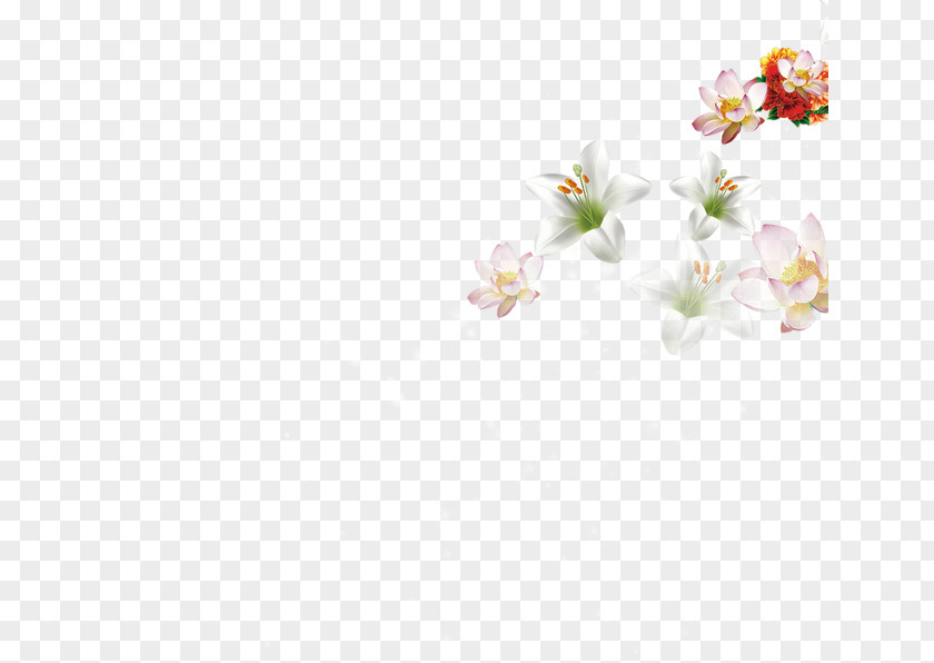 Floating Flower Textile Petal White Pattern PNG