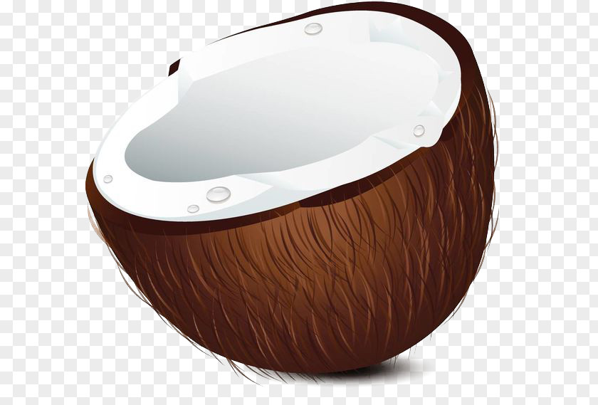 Hand Painted Coconut Shell Bathtub Toilet Seat Bathroom Sink PNG