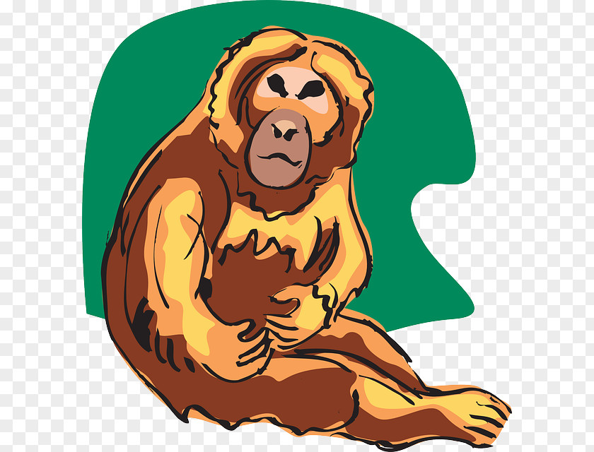 Lion Common Chimpanzee Primate Orangutan Clip Art PNG