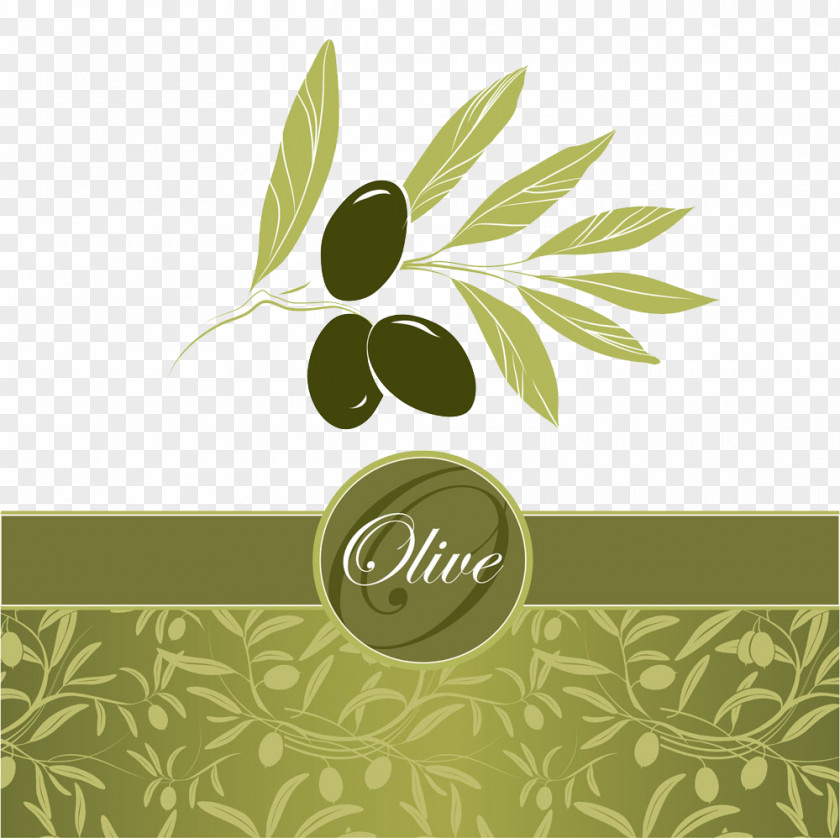 Olive Oil Labels Cover Leaf Euclidean Vector PNG