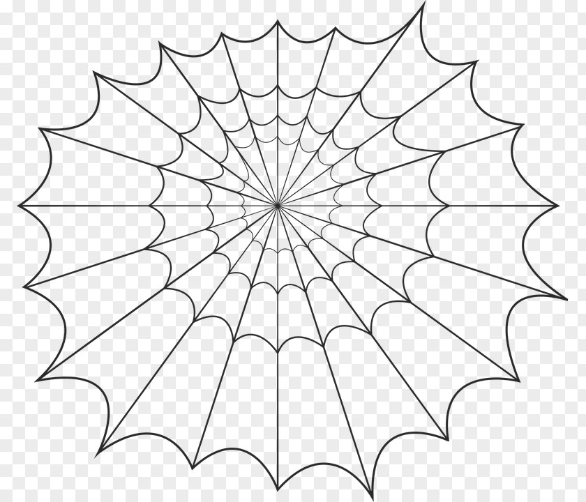 Spider Silk Web Clip Art PNG