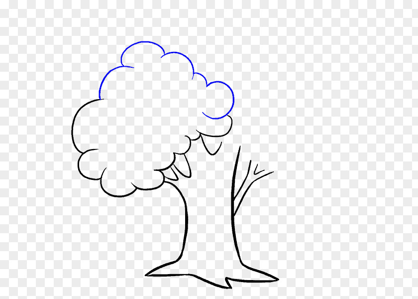 Tree Drawing Cartoon How To Draw Trees Clip Art PNG