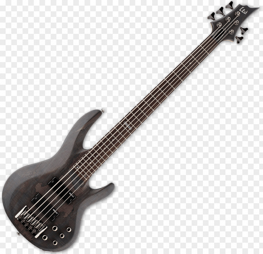 Bass Guitar Fender Precision Musical Instruments PNG