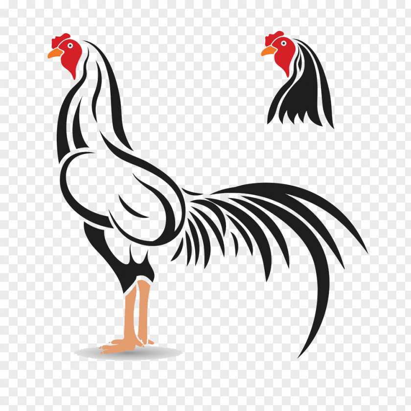 Black Chicken Cockfight Rooster Illustration PNG