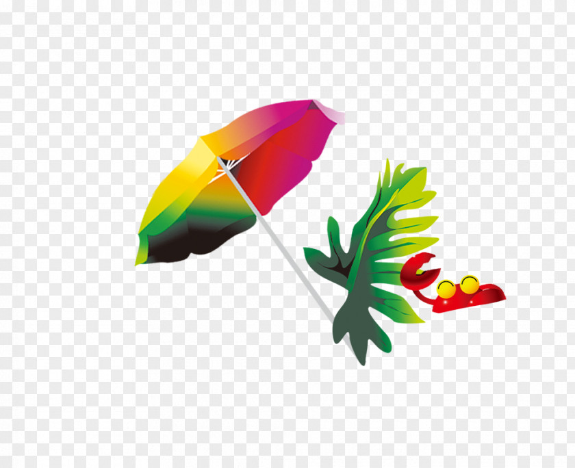 Cartoon Sun Umbrella Animation PNG