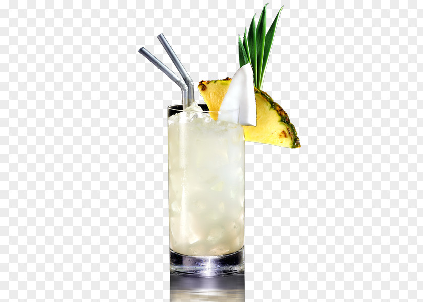 Cocktail Garnish Piña Colada Mai Tai Gin And Tonic Harvey Wallbanger PNG