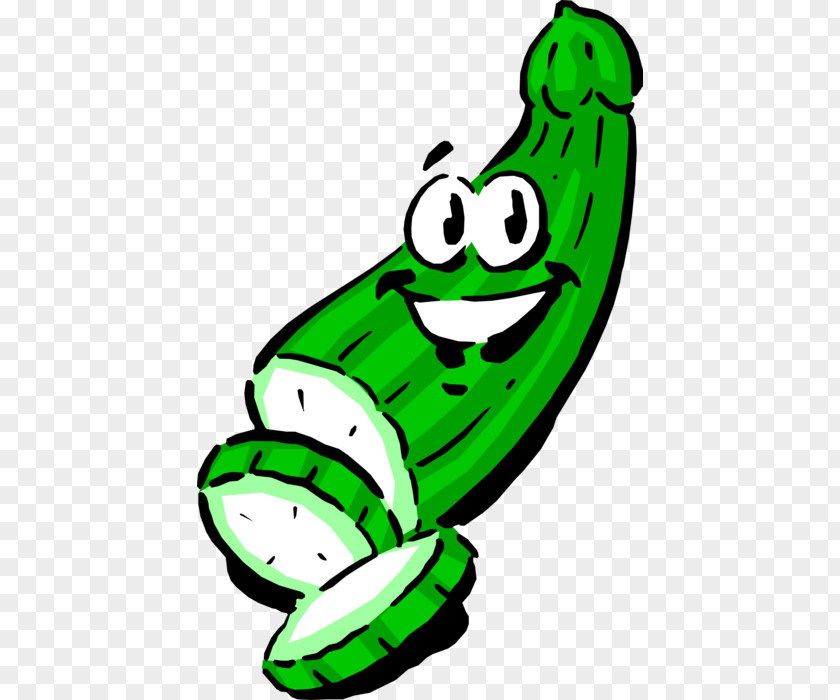 Cucumber Image Vector Graphics Clip Art Vegetable PNG
