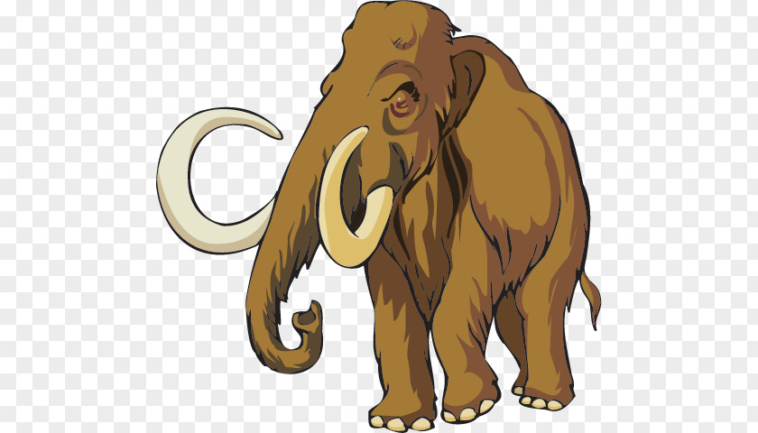 Endangered Animals Cliparts Woolly Mammoth A Problem The Mystery Of Missing Roman Coins Book Clip Art PNG