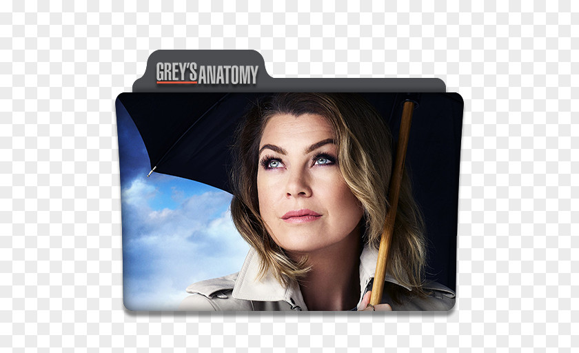 Season 14 Meredith Grey Television Show FernsehserieMeredith Grey's Anatomy PNG