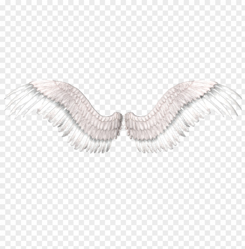 Wing Clip Art PNG