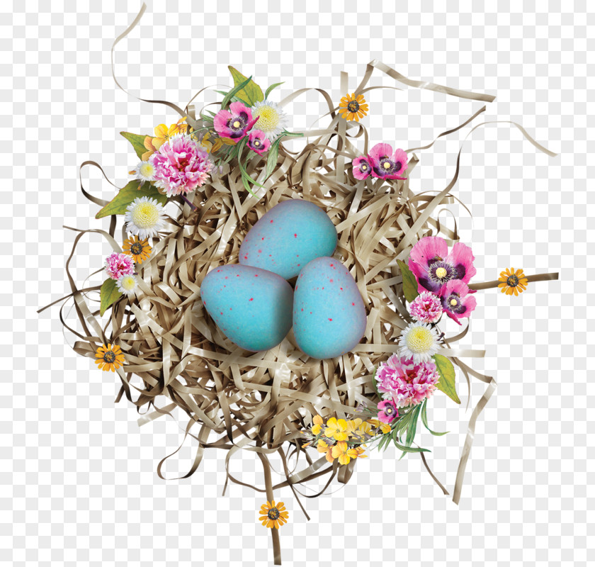 Bird Nest Birds And People Duck Egg PNG