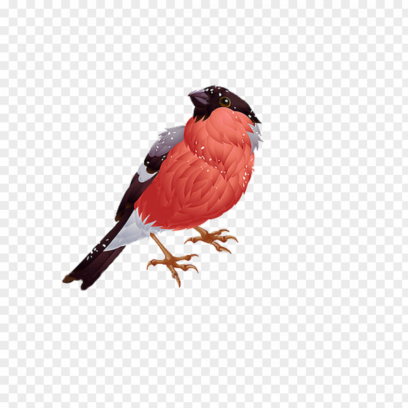 Bird Vector Graphics Royalty-free Stock Photography Clip Art PNG