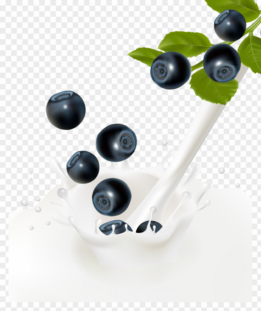Blueberry,milk Milk Frutti Di Bosco Euclidean Vector Fruit PNG