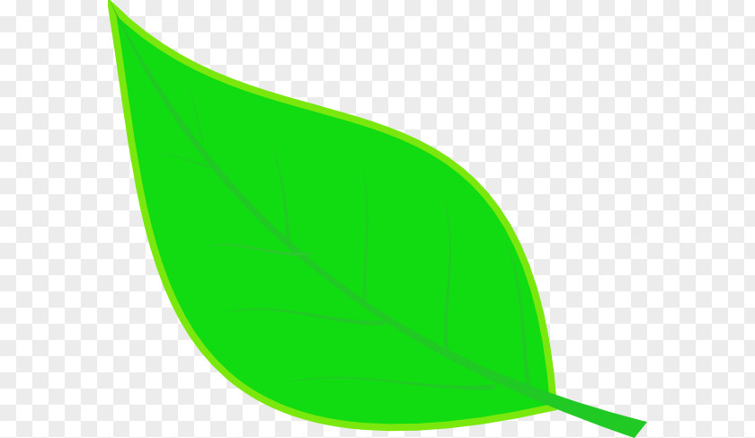 Griffith Line Leaf Clip Art Angle Product Design PNG