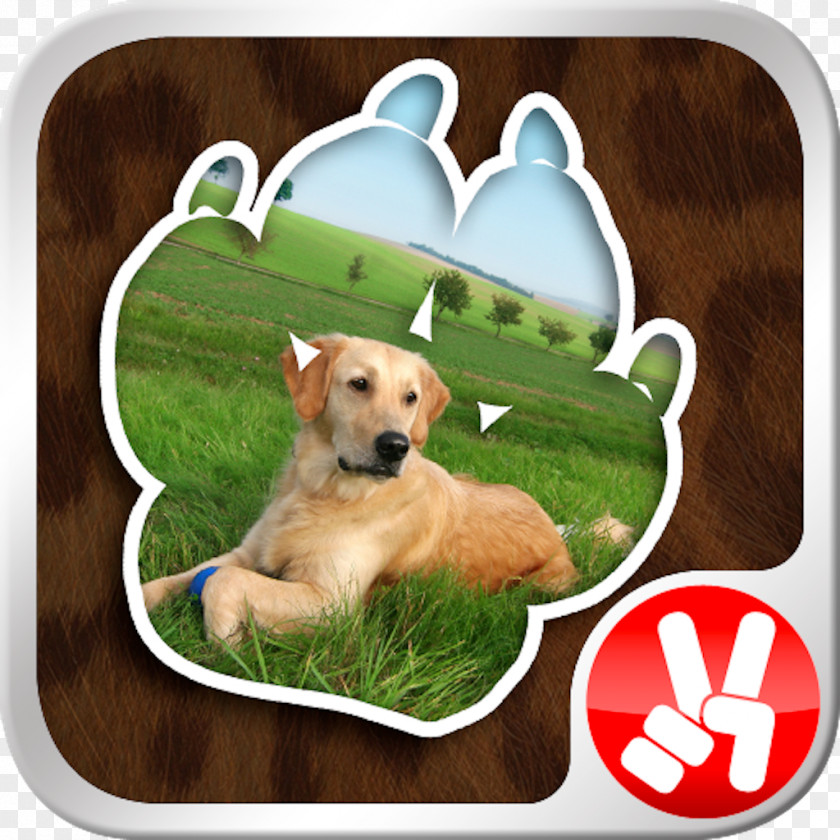 Puppy Dog Breed Horse Retriever Pet PNG