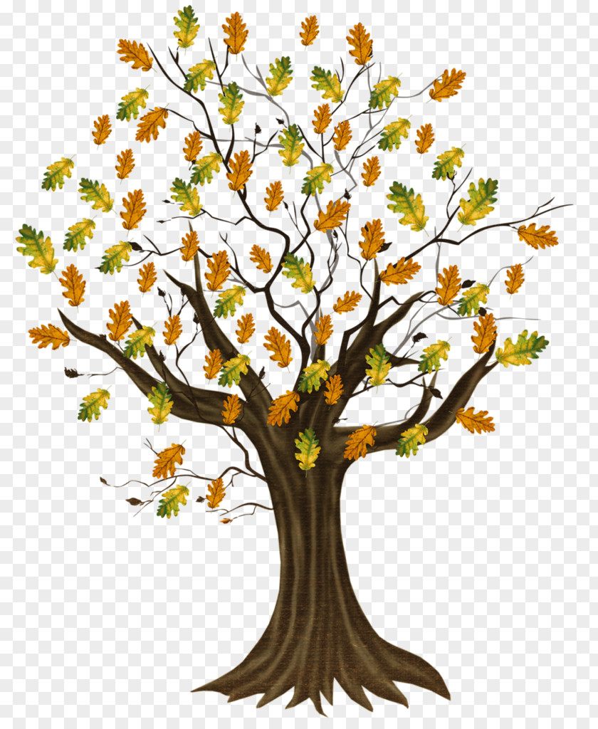 Autumn Treelet Leaf Trunk Woody Plant PNG