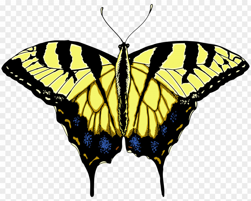 Butterfly Illustrations T-shirt Yellow Clip Art PNG