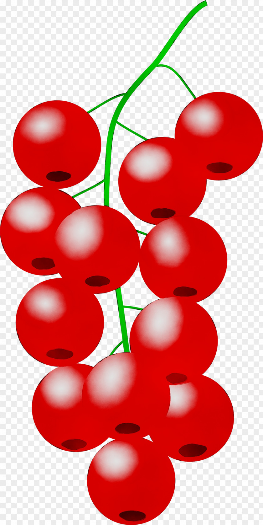 Clip Art Lingonberry Cherries Fruit Grape PNG