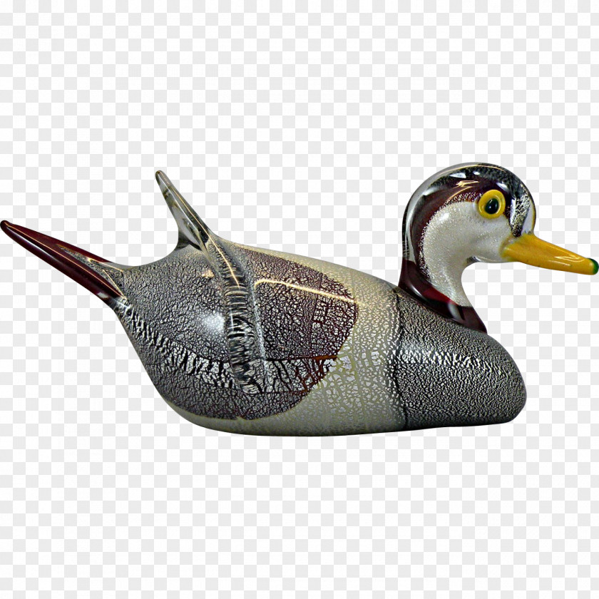 Duck Mallard Beak PNG