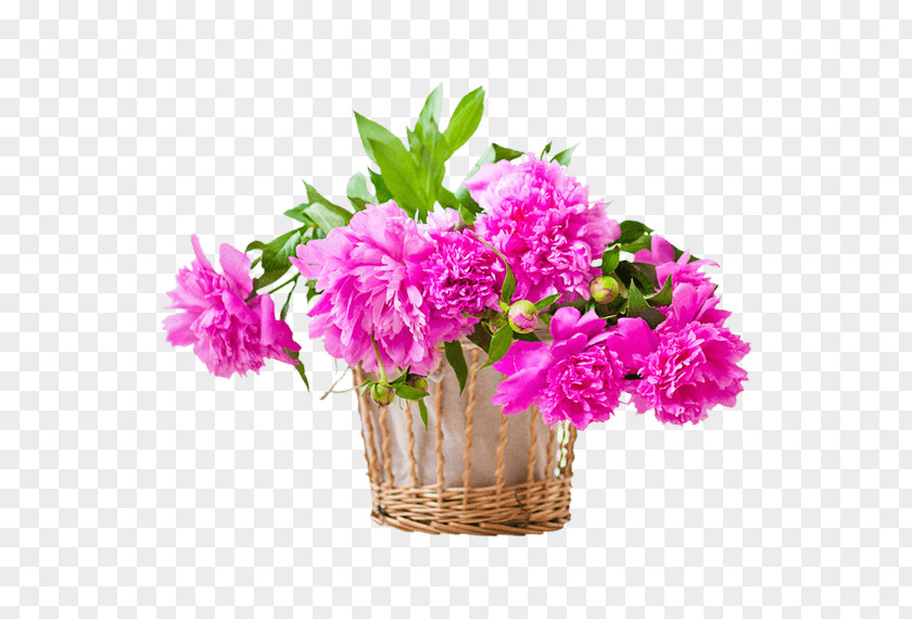 Flower Delivery Online Shopping PNG