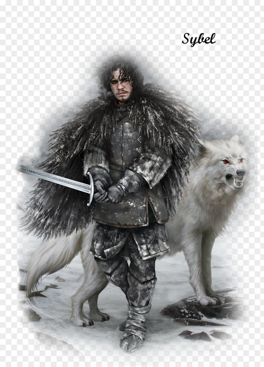 Jon Snow Daenerys Targaryen Arya Stark Winter Is Coming A Song Of Ice And Fire PNG
