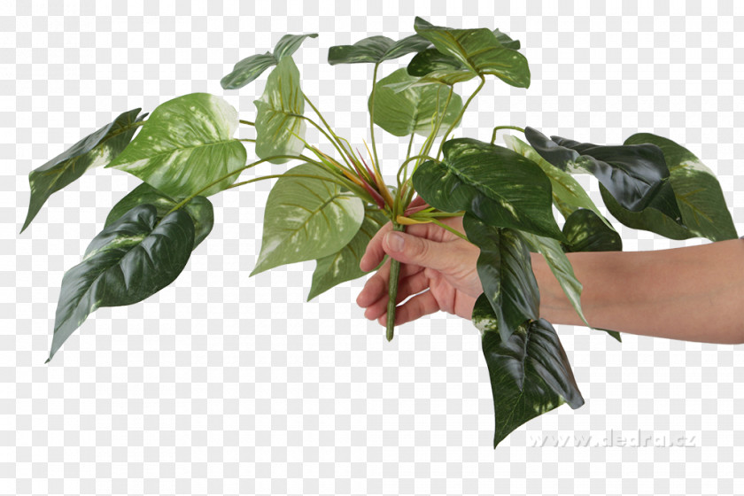 Leaf Flowerpot Tree PNG