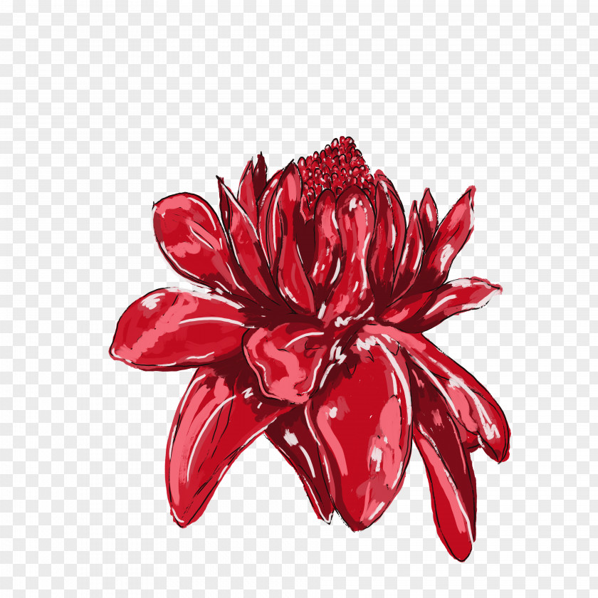 Anzac Drawing Flower Clip Art Jamaica Design PNG