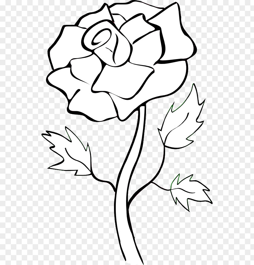 Black And White Rose Drawings Blue Flower Clip Art PNG