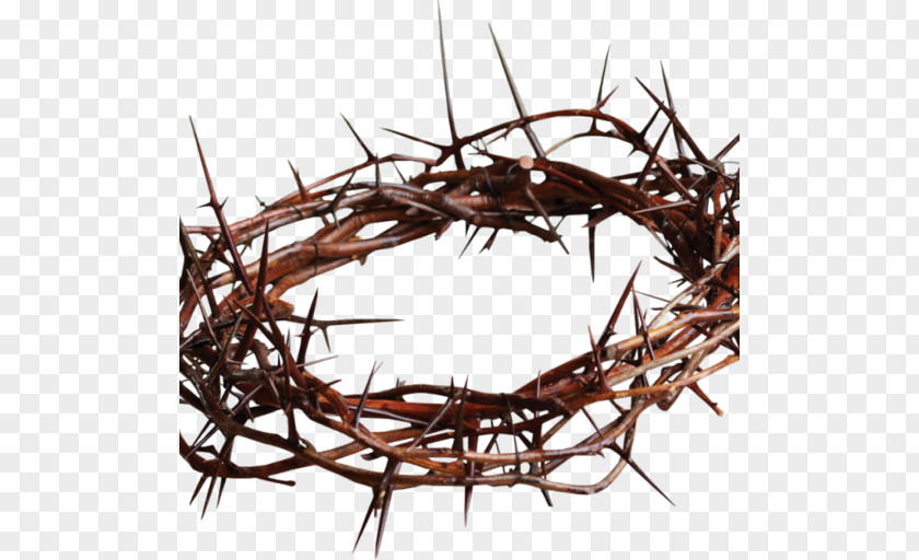 Crown Of Thorns Christianity Thorns, Spines, And Prickles Messiah Mocking Jesus PNG