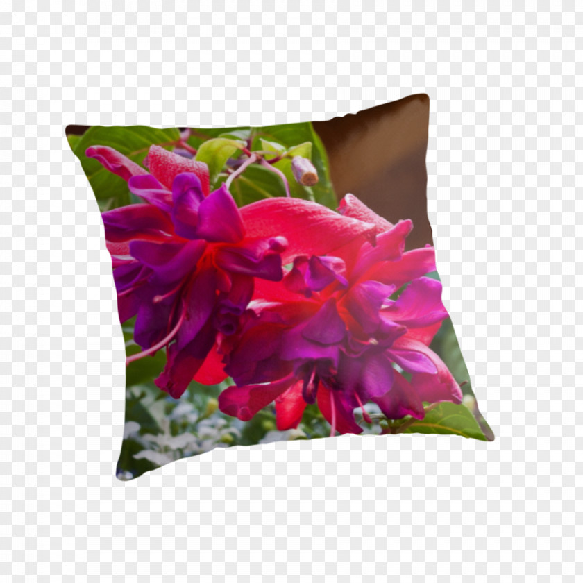 Pillow Throw Pillows Cushion Pink M RTV PNG