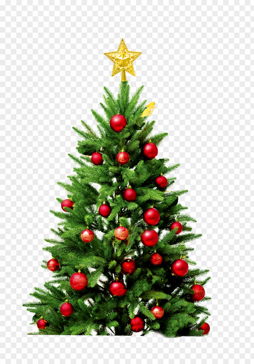 Simple Christmas Tree Santa Claus New Year Artificial PNG