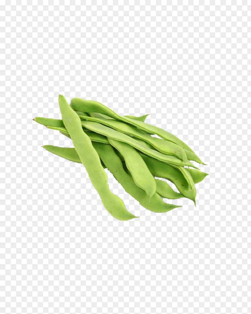 Green Beans Vegetables Vegetable Lablab Broad Bean PNG