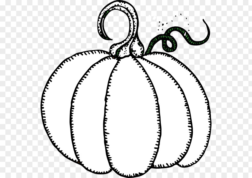 Pumpkin Drawing Design Ideas Pie Clip Art Squash Jack-o'-lantern PNG