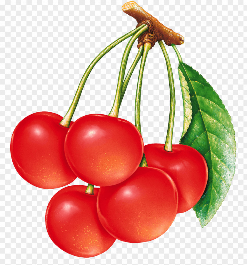 Red Cherry Image Download Sour Sweet PNG