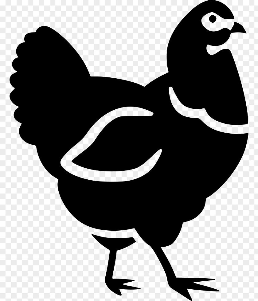 Rooster Cochin Chicken Poultry Farming Broiler Clip Art PNG
