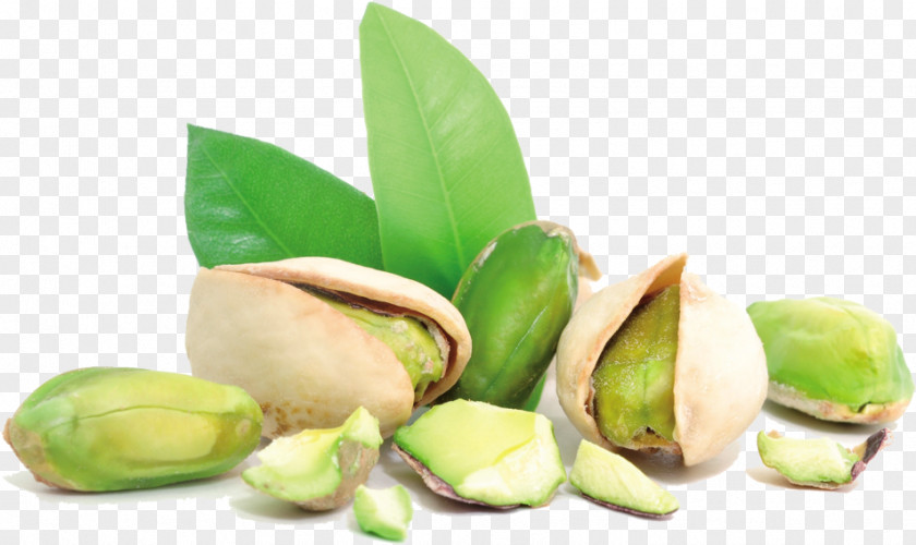 Superfood Nuts Seeds Fruit Cartoon PNG