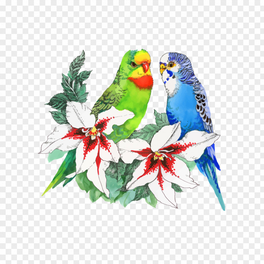 Vector Birds And Flowers PNG