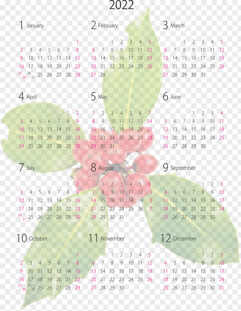 2022 Yearly Calendar Printable PNG