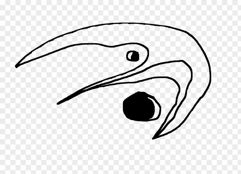 Beak Drawing Line Art Clip PNG