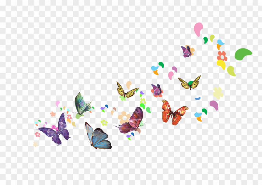 Butterfly Poster Download PNG