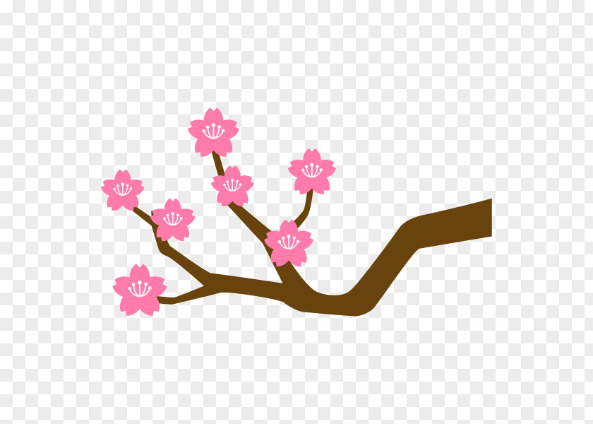 Cherry Blossom Branch Illustration Plants Clip Art PNG
